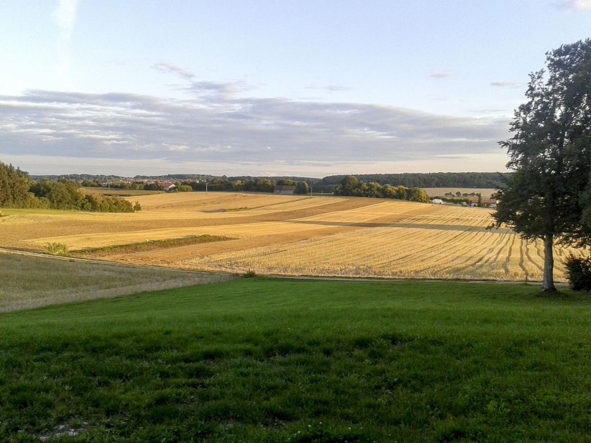 Hof Am Horn - Fewos In Der Natur Laichingen Exteriér fotografie