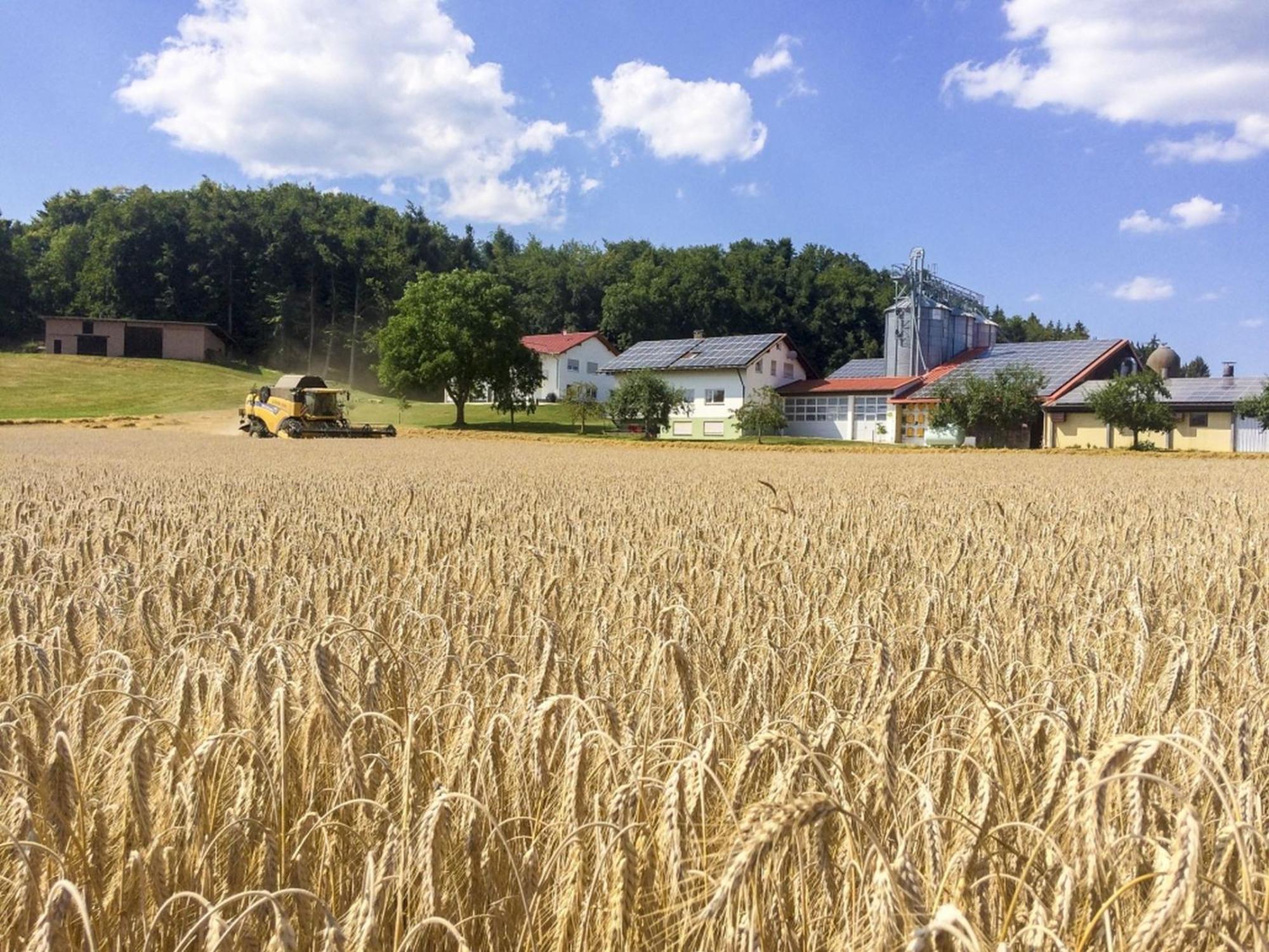 Hof Am Horn - Fewos In Der Natur Laichingen Exteriér fotografie