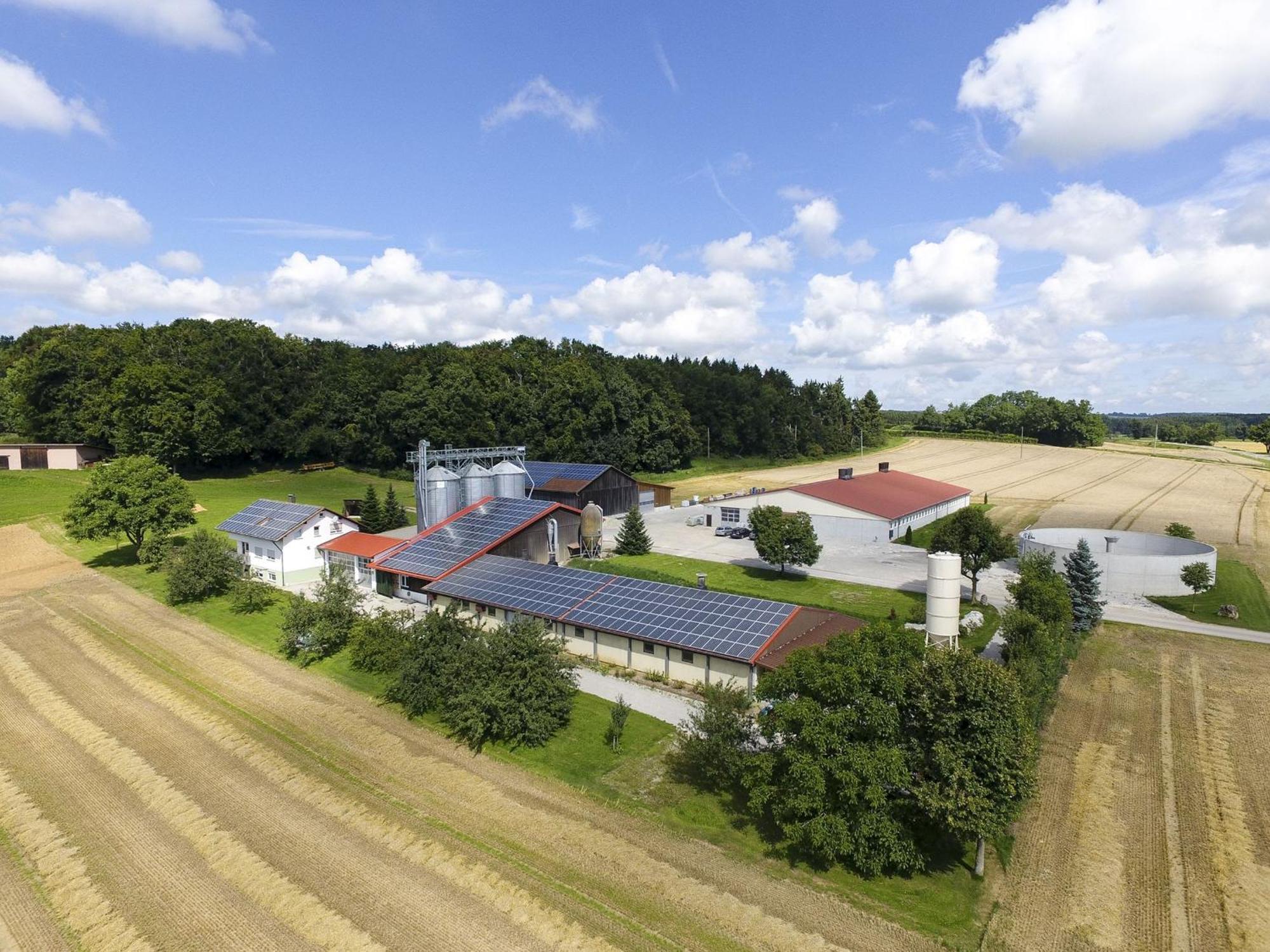 Hof Am Horn - Fewos In Der Natur Laichingen Exteriér fotografie