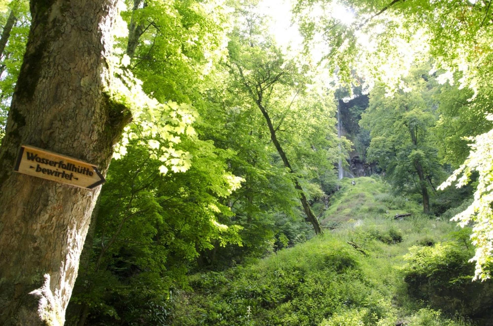 Hof Am Horn - Fewos In Der Natur Laichingen Exteriér fotografie